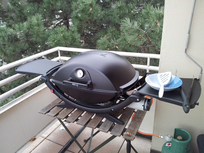 weber spirit owners manual