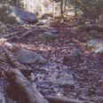 Indian pass trail